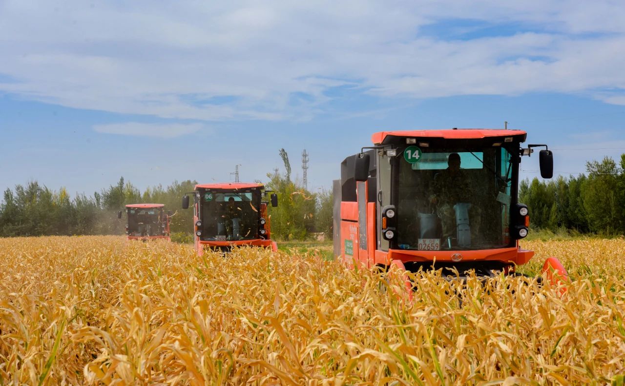 敦煌種業(yè)公司:播撒“希望種” 耕耘“夢想田”